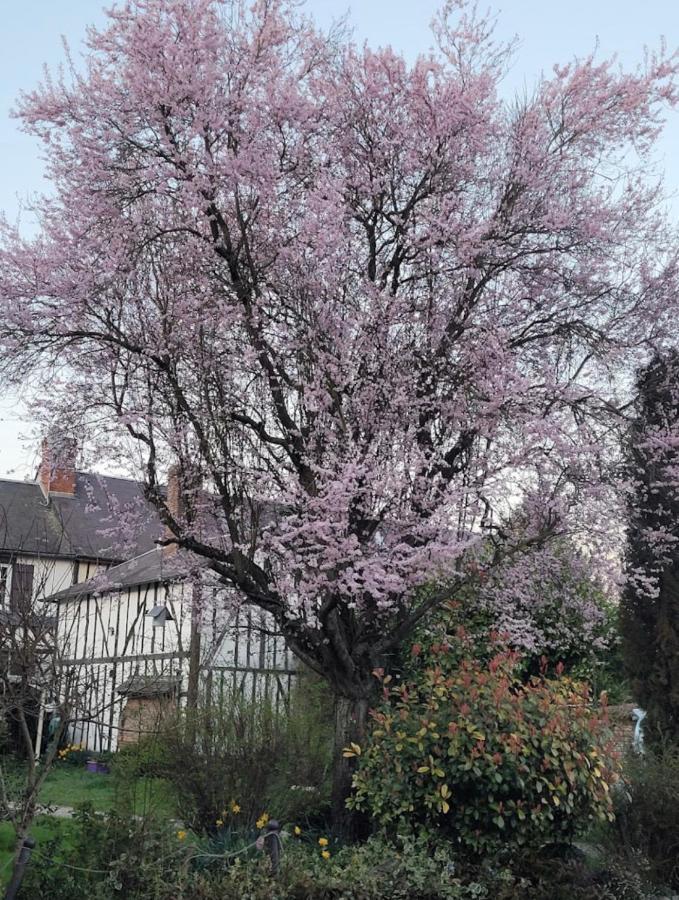 Les Gites De L'Herperie Blicourt Esterno foto